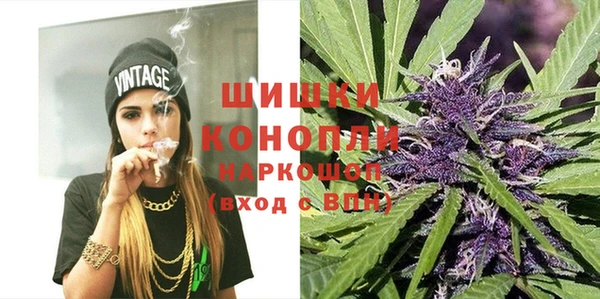 амф Гусев