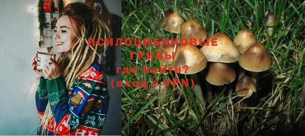 амф Гусев