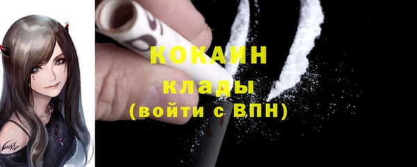 амф Гусев