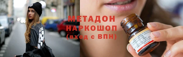 амф Гусев