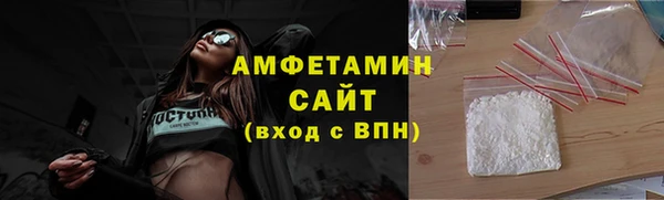 амф Гусев