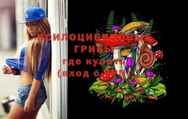 марихуана Новозыбков