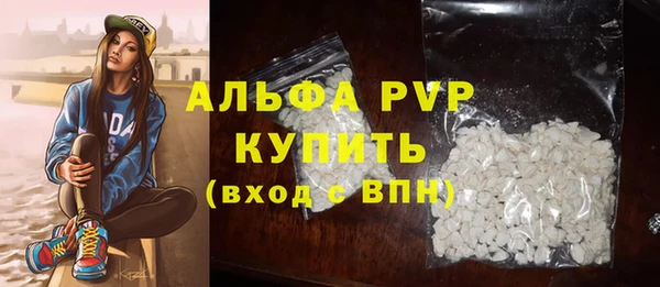 индика Нефтекумск