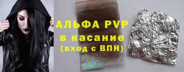 амф Гусев