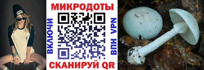 гидра вход  Озёрск  Псилоцибиновые грибы Cubensis  закладка 